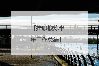 挂职锻炼半年工作总结