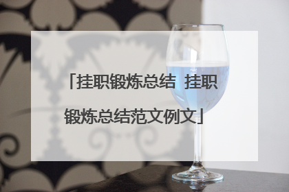 挂职锻炼总结 挂职锻炼总结范文例文