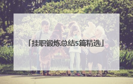 挂职锻炼总结5篇精选