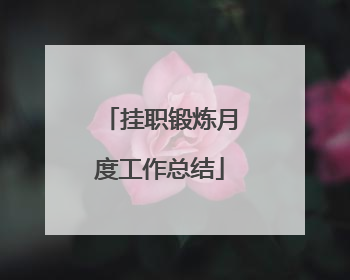 挂职锻炼月度工作总结