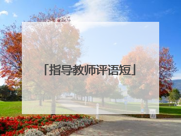 指导教师评语短