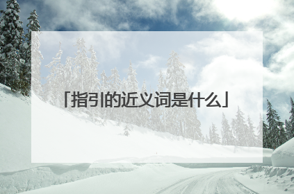 指引的近义词是什么