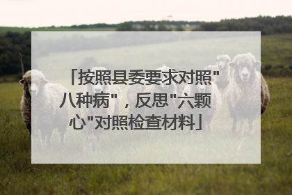 按照县委要求对照