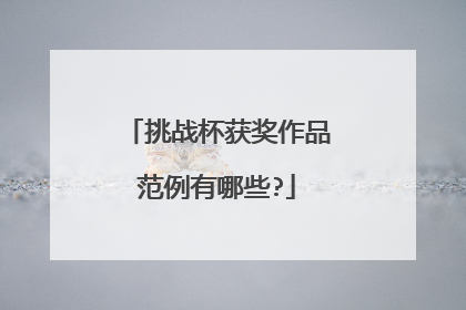 挑战杯获奖作品范例有哪些?