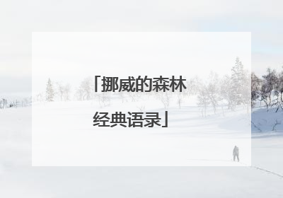 挪威的森林经典语录