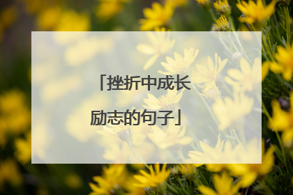 挫折中成长励志的句子