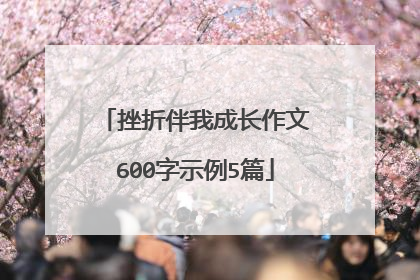 挫折伴我成长作文600字示例5篇