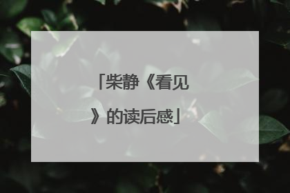 柴静《看见》的读后感