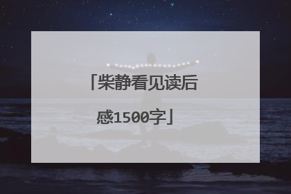 柴静看见读后感1500字