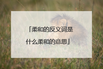 柔和的反义词是什么柔和的意思