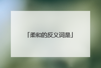 柔和的反义词是