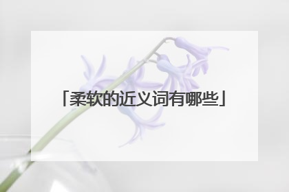 柔软的近义词有哪些