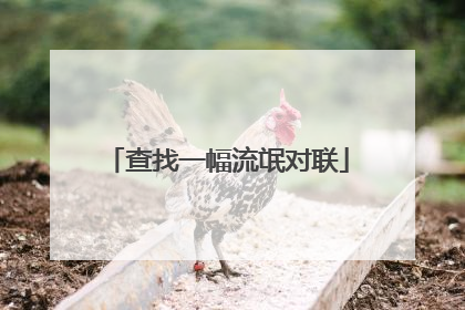 查找一幅流氓对联