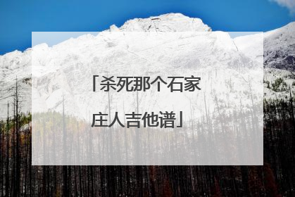 杀死那个石家庄人吉他谱