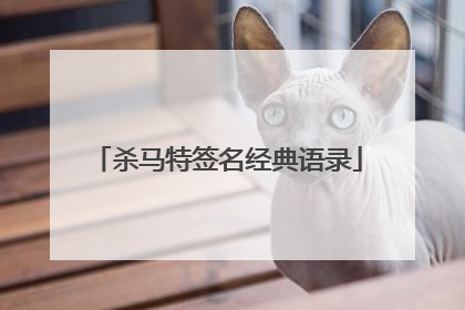 杀马特签名经典语录