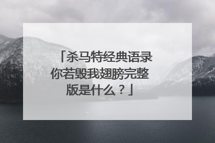 杀马特经典语录你若毁我翅膀完整版是什么？