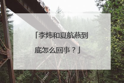 李炜和夏航燕到底怎么回事?