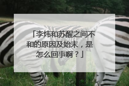 李炜和苏醒之间不和的原因及始末,是怎么回事啊?