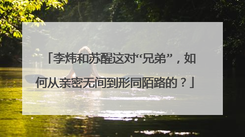 李炜和苏醒这对“兄弟”,如何从亲密无间到形同陌路的?