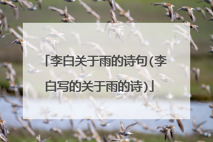李白关于雨的诗句(李白写的关于雨的诗)