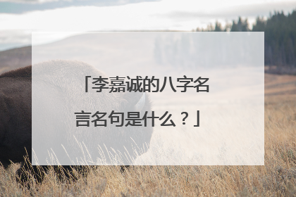 李嘉诚的八字名言名句是什么？