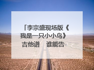 李宗盛现场版《我是一只小小鸟》吉他谱 谁能告诉我下?