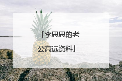 李思思的老公高远资料
