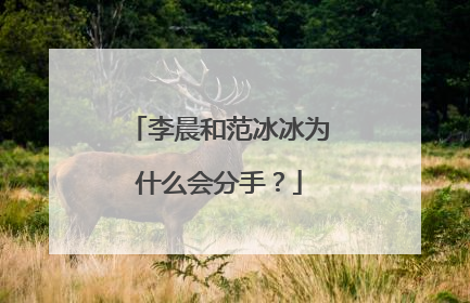 李晨和范冰冰为什么会分手？