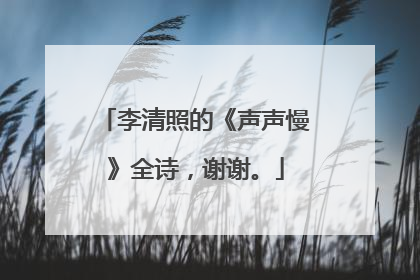 李清照的《声声慢》全诗，谢谢。