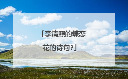 李清照的蝶恋花的诗句?