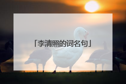 李清照的词名句