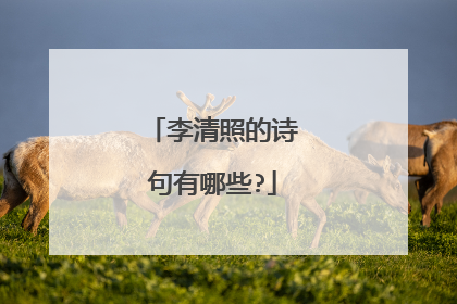 李清照的诗句有哪些?