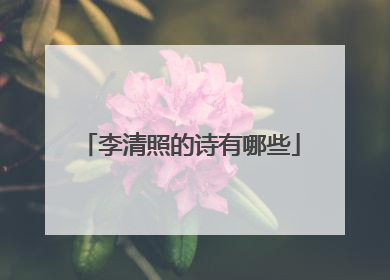 李清照的诗有哪些