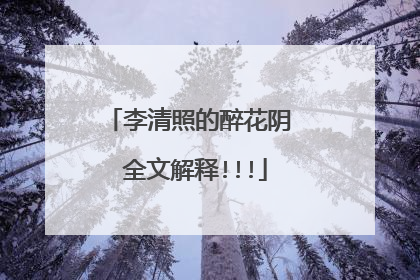 李清照的醉花阴 全文解释!!!