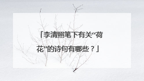 李清照笔下有关“荷花”的诗句有哪些?