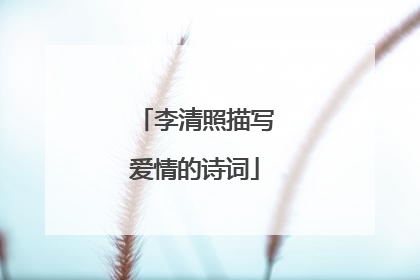 李清照描写爱情的诗词