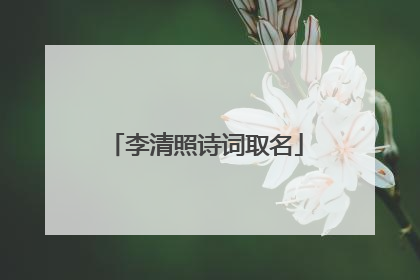 李清照诗词取名