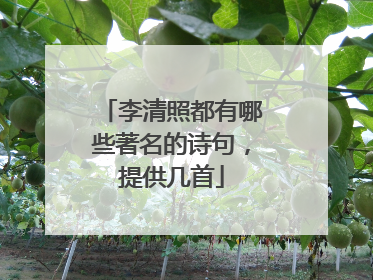 李清照都有哪些著名的诗句,提供几首