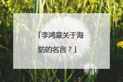 李鸿章关于海防的名言？