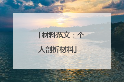 材料范文:个人剖析材料