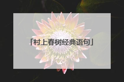村上春树经典语句