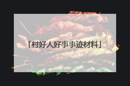 村好人好事事迹材料