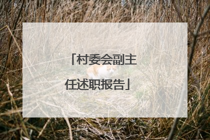 村委会副主任述职报告