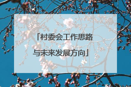 村委会工作思路与未来发展方向