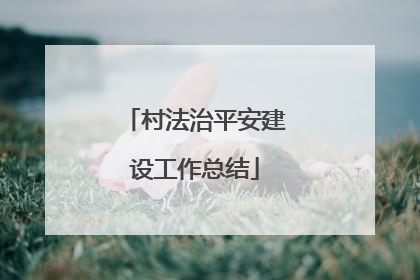 村法治平安建设工作总结