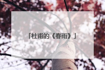 杜甫的《春雨》