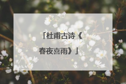 杜甫古诗《春夜喜雨》