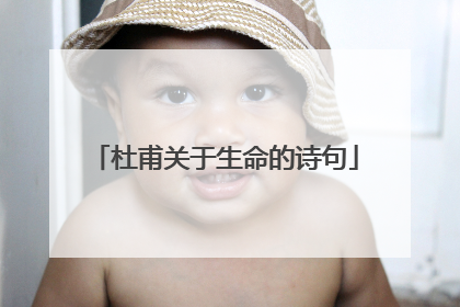 杜甫关于生命的诗句