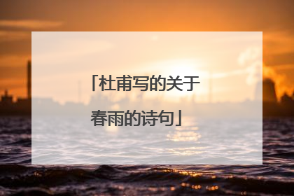 杜甫写的关于春雨的诗句