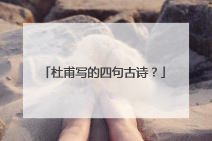 杜甫写的四句古诗?